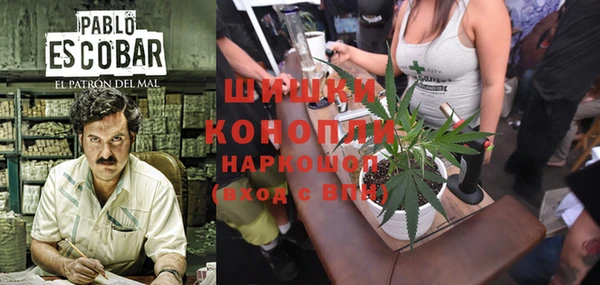 ПСИЛОЦИБИНОВЫЕ ГРИБЫ Балабаново